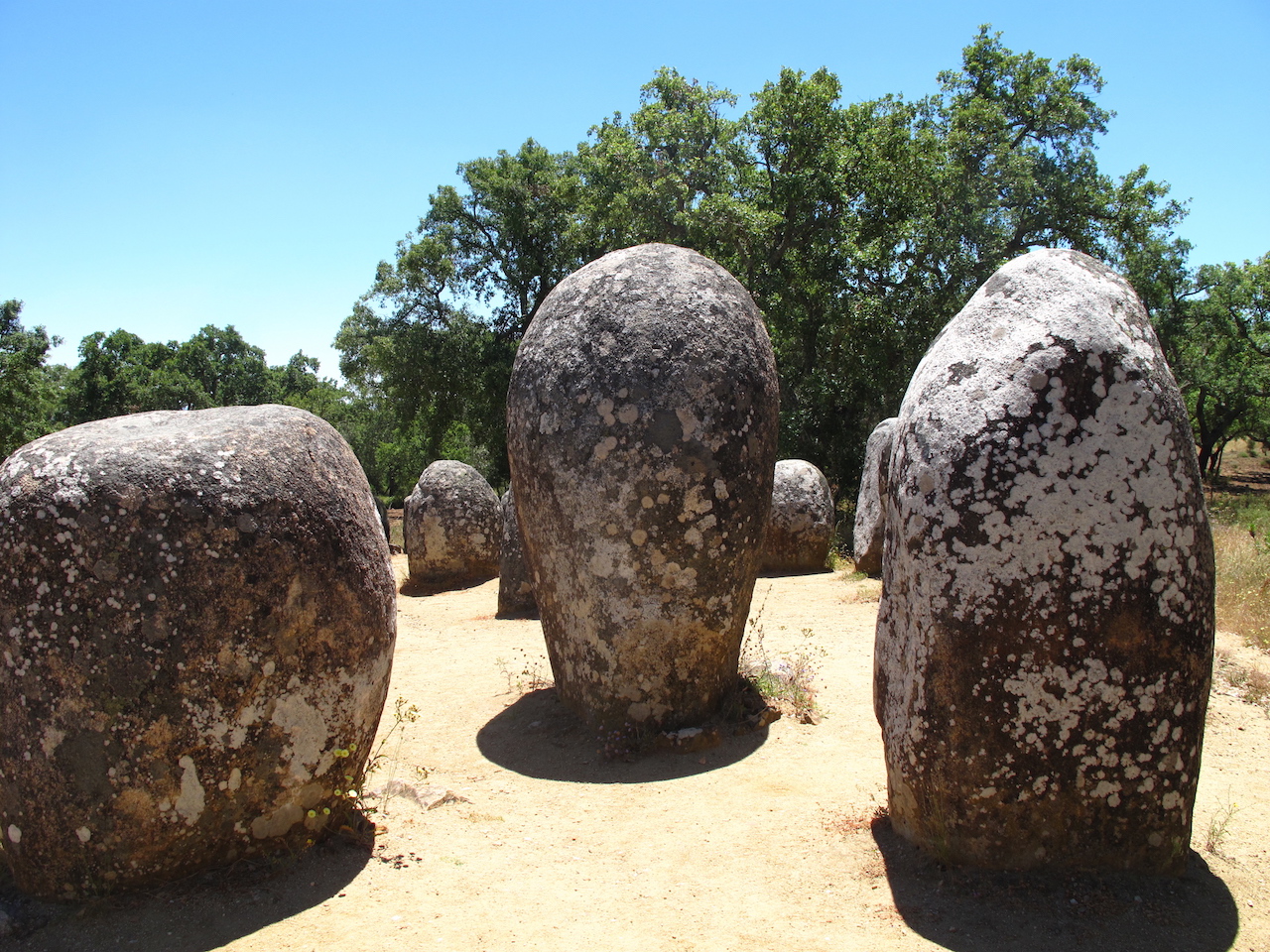 Portugal Night Sky Event 2017