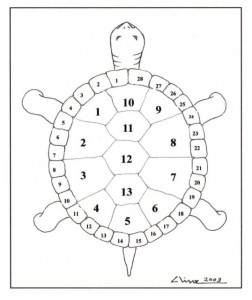 Turtle Numbers