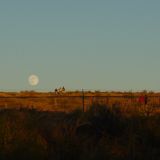 gold-membership-loopthumbjpg